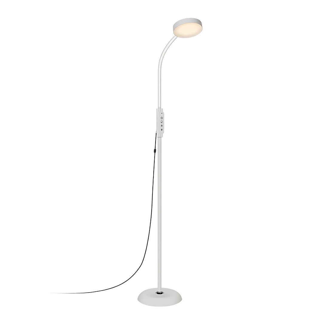 LED Reading Floor Lamp Minimalist Task Light Eye-Caring Standing Lamp