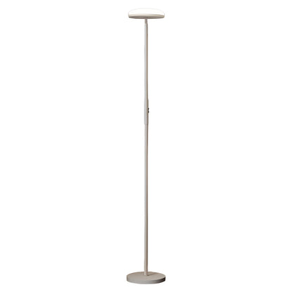 Uplight Floor Lamp Ambient Lighting Reading Downlight Floor Lamp