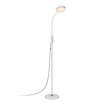 LED Reading Floor Lamp Minimalist Task Light Eye-Caring Standing Lamp