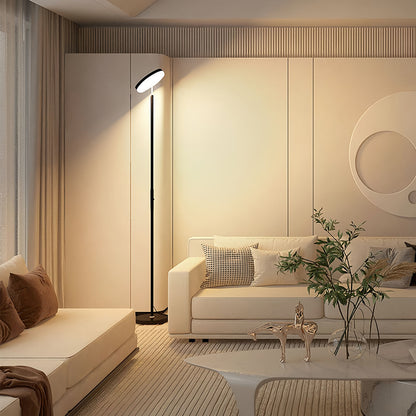 Uplight Floor Lamp Ambient Lighting Reading Downlight Floor Lamp