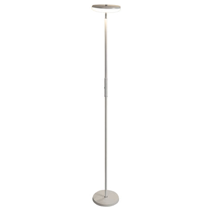 Uplight Floor Lamp Ambient Lighting Reading Downlight Floor Lamp